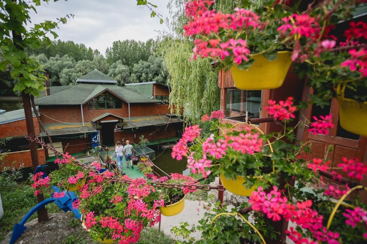 Pool And Villa Splav Dunavac Futog Exterior foto
