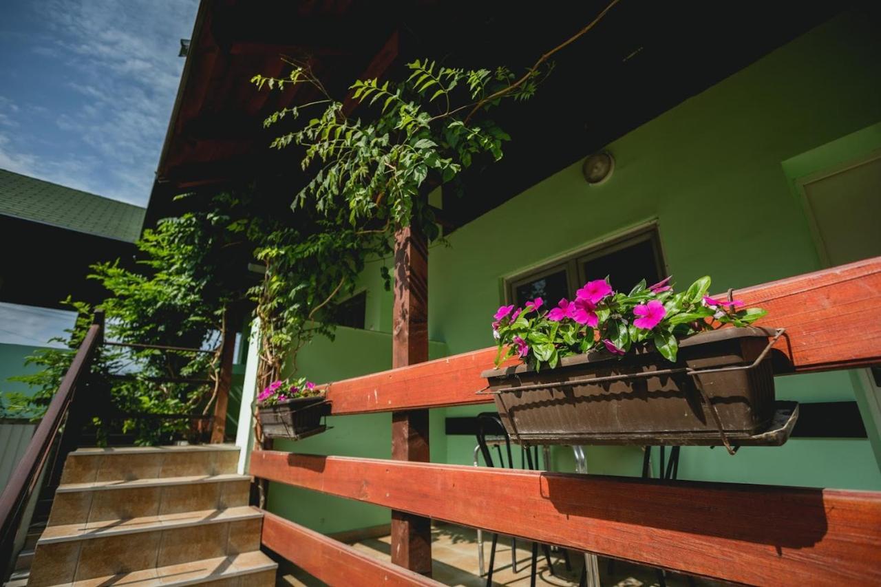 Pool And Villa Splav Dunavac Futog Exterior foto