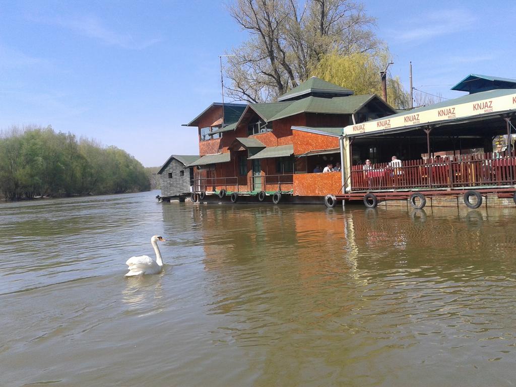 Pool And Villa Splav Dunavac Futog Exterior foto